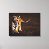 Tiger Cub Walking Canvas Afdruk (Voorkant)