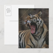 Tiger Cub Yawning Briefkaart (Voorkant / Achterkant)