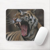 Tiger Cub Yawning Muismat (Met muis)