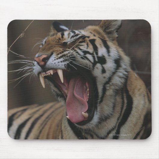 Tiger Cub Yawning Muismat (Voorkant)