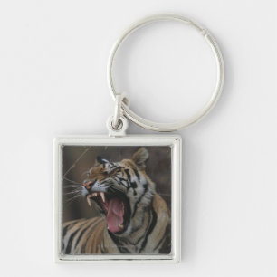 Tiger Cub Yawning Sleutelhanger