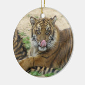 Tiger Cubs Ornament (Links)
