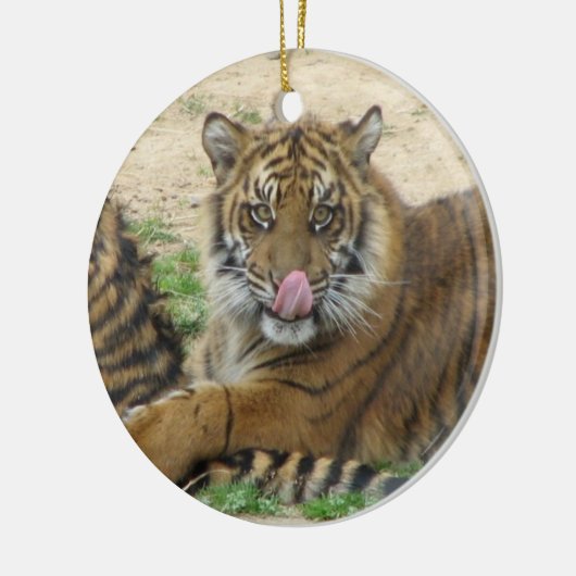 Tiger Cubs Ornament (Links)