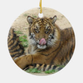 Tiger Cubs Ornament (Achterkant)