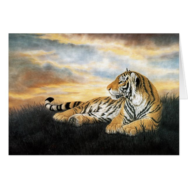 Tiger Dawn (Voorkant Horizontaal)