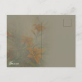 Tiger "Day" Lilies Briefkaart (Achterkant)