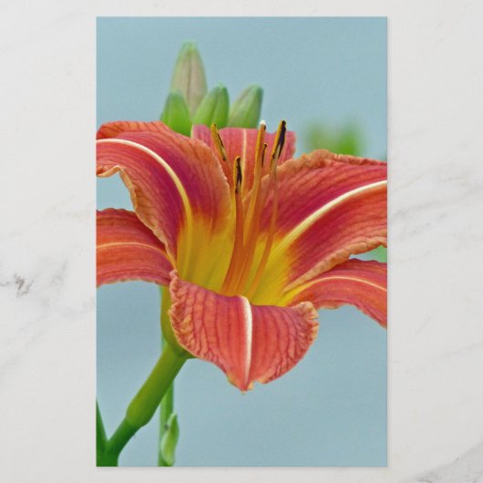 Tiger Daylily Briefpapier (Voorkant)