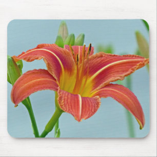 Tiger Daylily Muismat