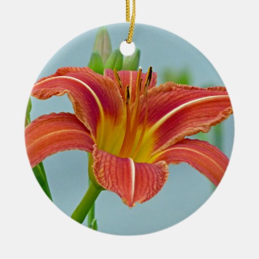 Tiger Daylily Ornament (Voorkant)