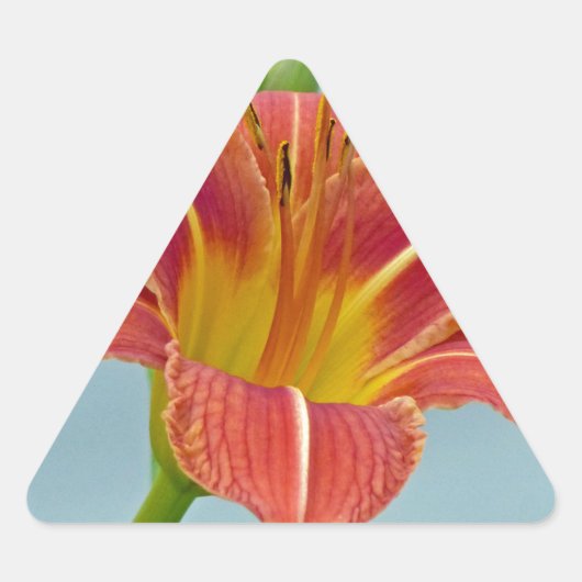 Tiger Daylily Sticker (Voorkant)