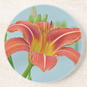 Tiger Daylily Zandsteen Onderzetter
