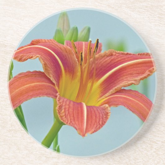 Tiger Daylily Zandsteen Onderzetter (Voorkant)