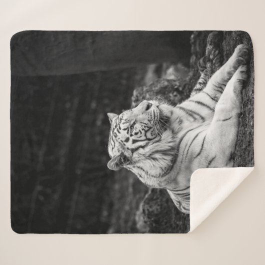 TIGER DENK SHERPA DEKEN (Voorkant (horizontaal))