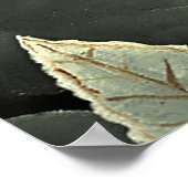 "Tiger - Detail from The Dream" by Henri Rousseau Poster (Hoek)