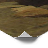 Tiger en Cubs Jean-Leon Gerome 1884 Poster (Hoek)