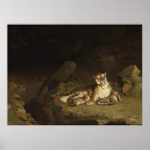 Tiger en Cubs Jean-Leon Gerome 1884 Poster (Voorkant)