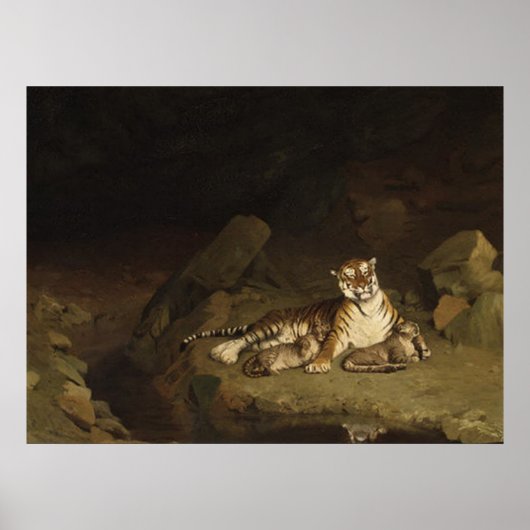 Tiger en Cubs Jean-Leon Gerome 1884 Poster (Voorkant)