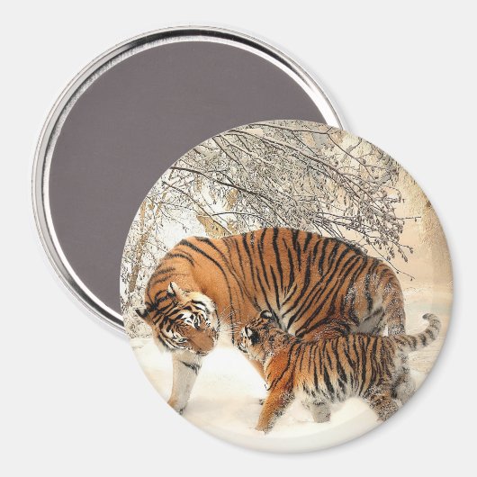 Tiger en haar Cub Magnet (Voorkant / Achterkant)