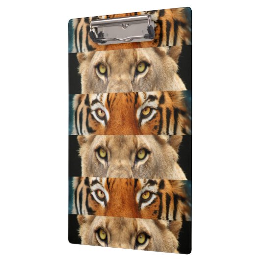 Tiger- en luiogen Foto Klembord (Links)