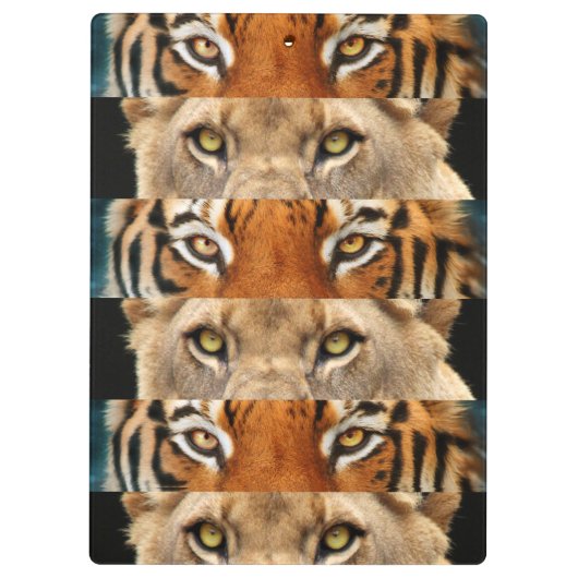 Tiger- en luiogen Foto Klembord (Achterkant)