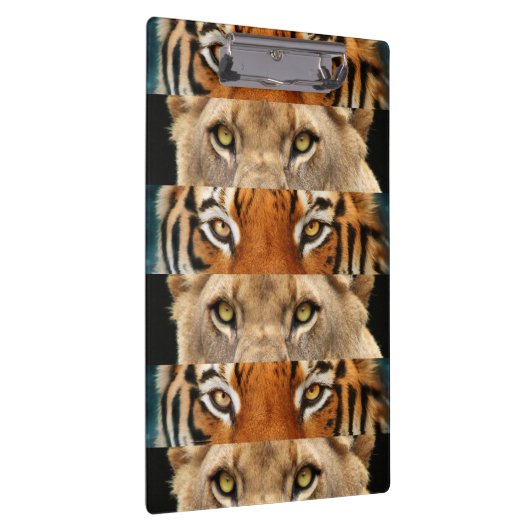 Tiger- en luiogen Foto Klembord (Rechts)
