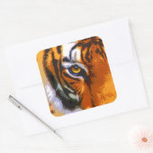 TIGER EYE VIERKANTE STICKER (Envelop)