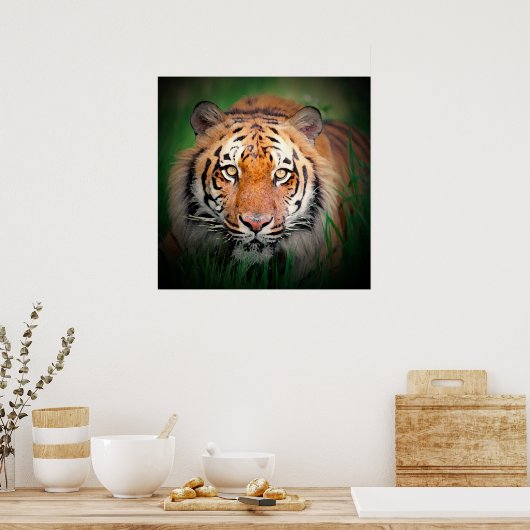 Tiger Eyes Art Print Poster (Keuken)