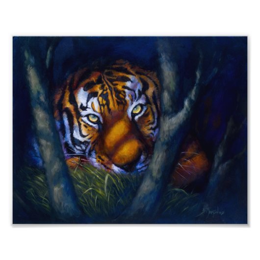 Tiger Eyes Foto Afdruk (Voorkant)