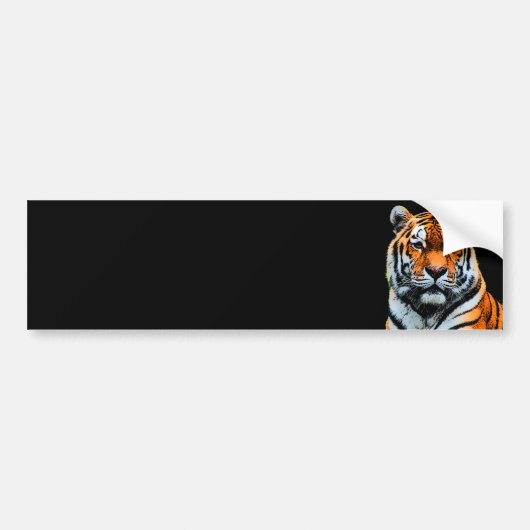Tiger Eyes Inspirerend Bumpersticker (Voorkant)