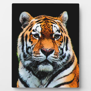 Tiger Eyes Inspirerend Fotoplaat