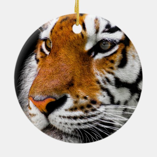 Tiger Eyes Keramisch Ornament (Achterkant)
