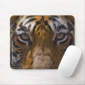 Tiger Eyes Muismat (Met muis)