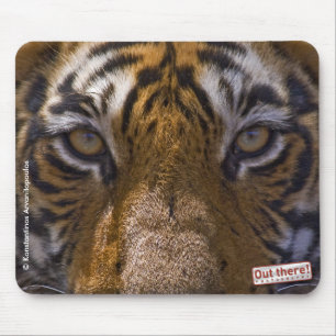 Tiger Eyes Muismat