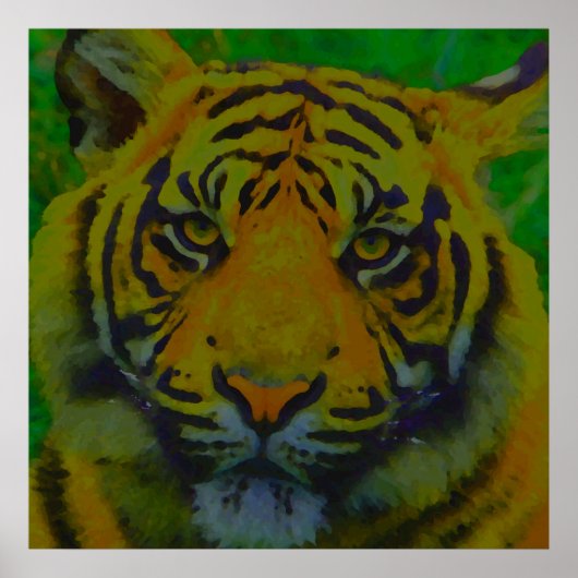 Tiger Eyes Pop Art Poster (Voorkant)