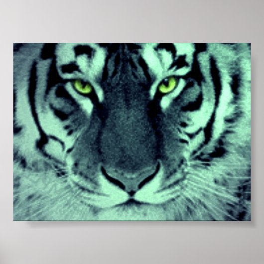 Tiger Eyes Poster (Voorkant)
