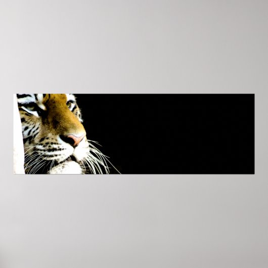 Tiger Eyes Poster (Voorkant)