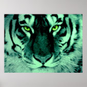 Tiger Eyes Poster (Voorkant)