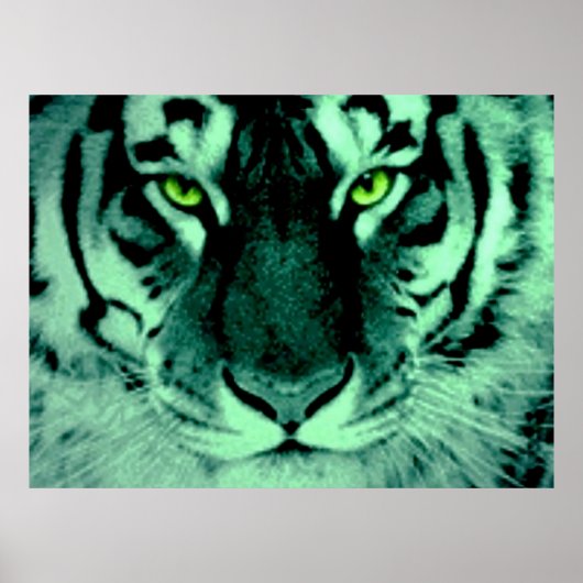 Tiger Eyes Poster (Voorkant)