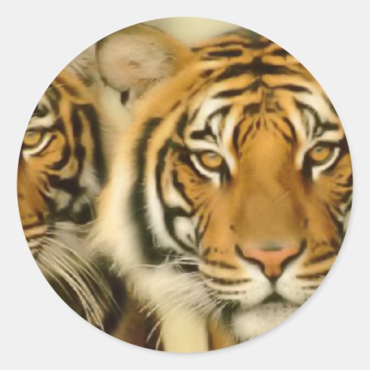 Tiger Eyes Ronde Sticker (Voorkant)
