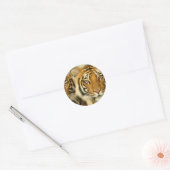 Tiger Eyes Ronde Sticker (Envelop)