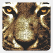 Tiger Eyes Square Stickers (Voorkant)