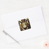 Tiger Eyes Square Stickers (Envelop)