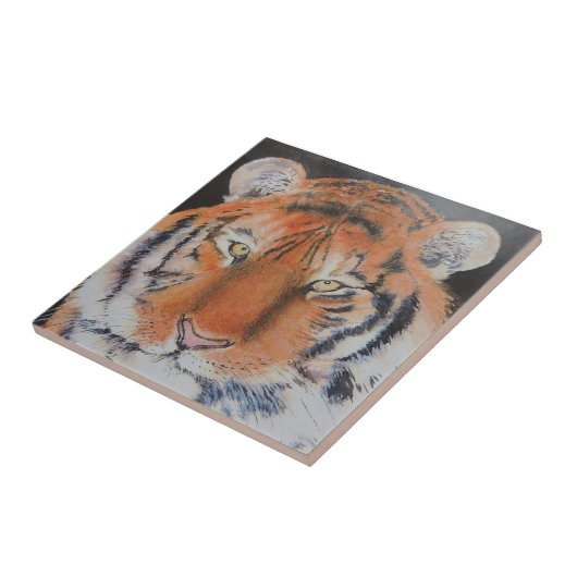 Tiger Eyes Tegeltje (Zijkant)