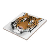Tiger Eyes Tegeltje (Zijkant)