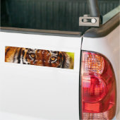 TIGER EYES Wildlife Supporter Bumper-sticker Bumpersticker (Op Truck)