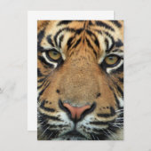 Tiger Face Bedankkaart (Voorkant / Achterkant)