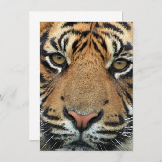 Tiger Face Bedankkaart (Voorkant / Achterkant)