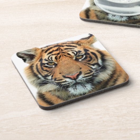 Tiger Face Bier Onderzetter (Linkerzijde)