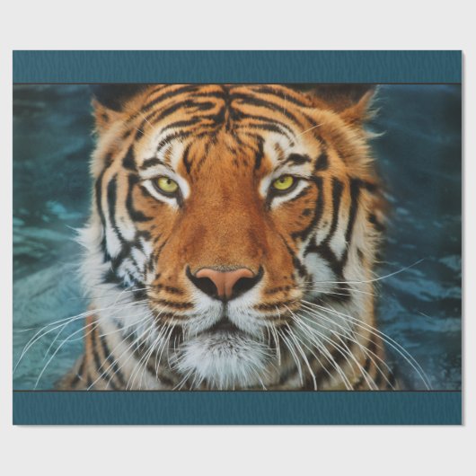 Tiger Face Cadeaupapier (Vlak)