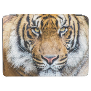 Tiger Face iPad Air Cover